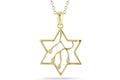 STAR OF DAVID PEND., 14K-Y with 0.03CT DIAMONDS