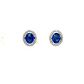 Sapphire and Diamond Earrings in 18K White Gold - KGT 33088