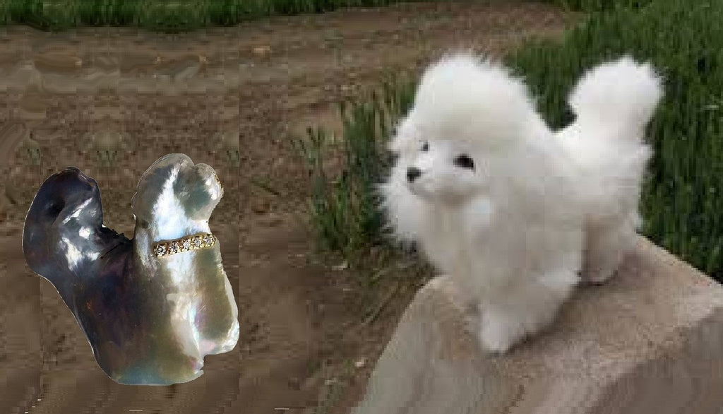 Jumbo Poodle Shaped Pearl Necklace-Once in a Lifetime-Diamonds & 18K Gold Collar and Chain.