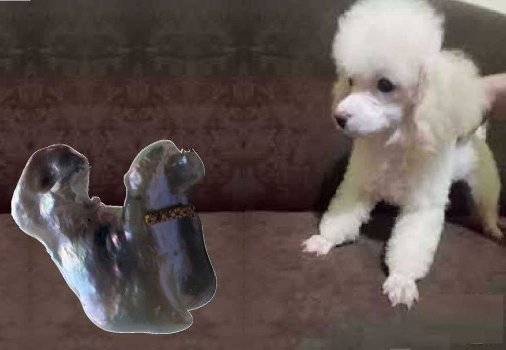 Jumbo Poodle Shaped Pearl Necklace-Once in a Lifetime-Diamonds & 18K Gold Collar and Chain.