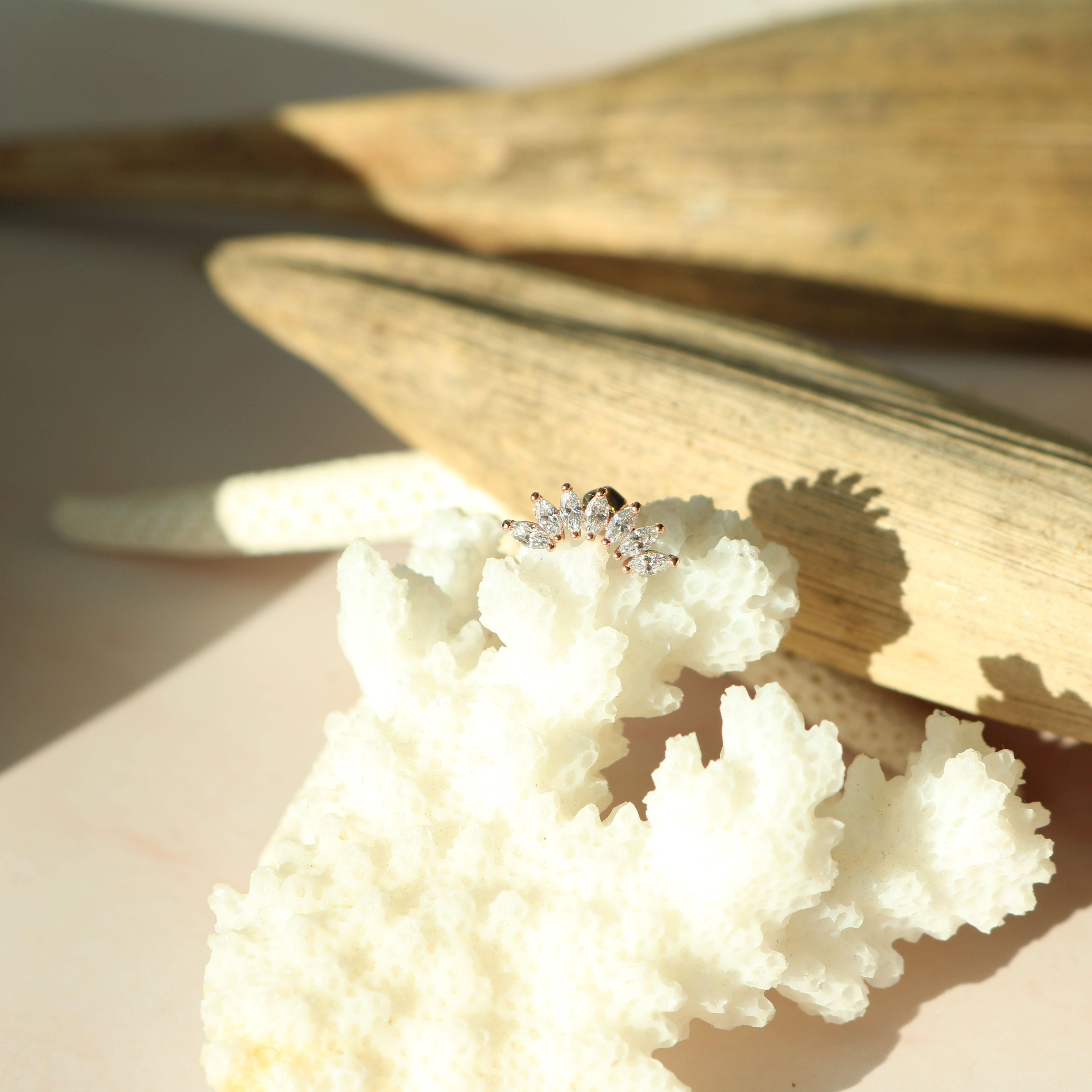 Crystal wing barbell