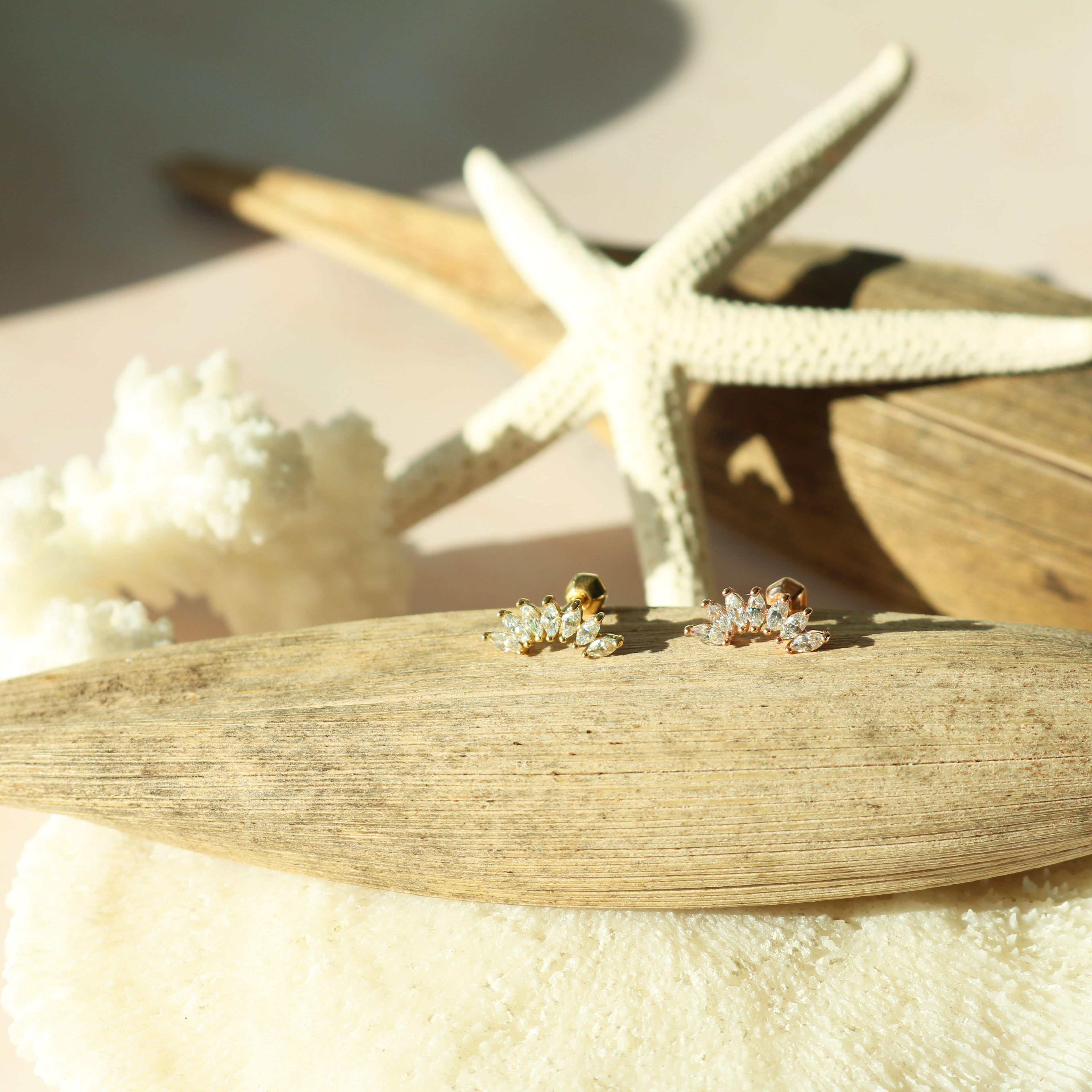 Crystal wing barbell