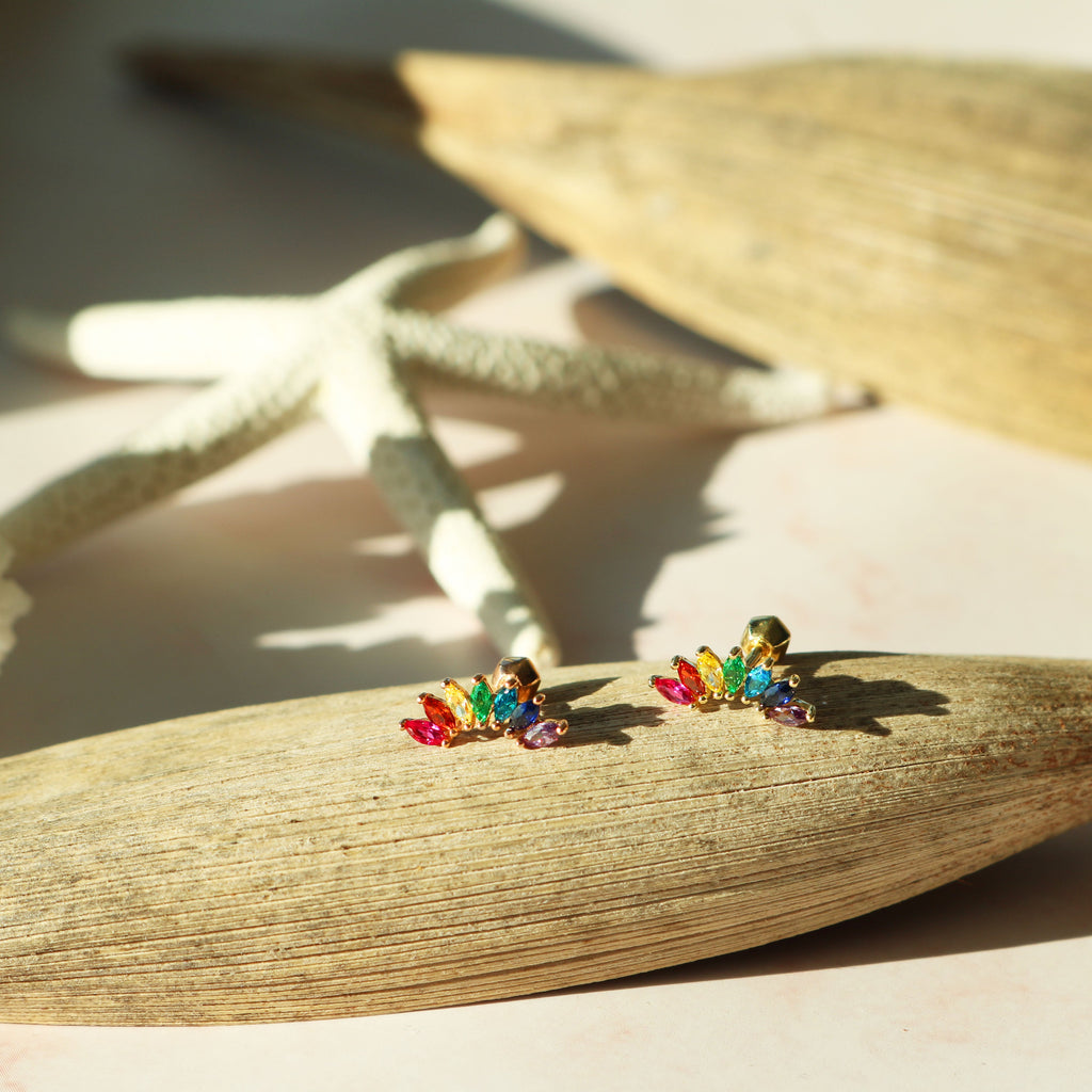 Rainbow wing barbell